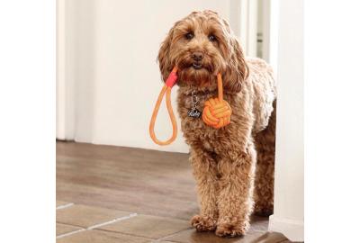 Adorable with Floating Rope And Tug Toy Bundle
