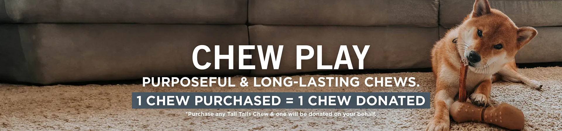 Chew Dog Toys