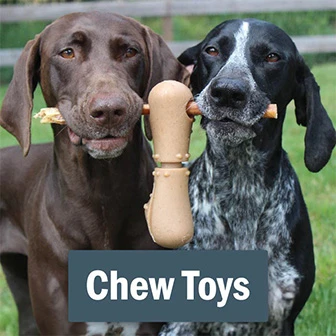 Chew Dog Toys