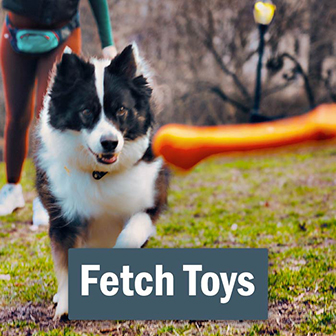 Fetch Dog Toys