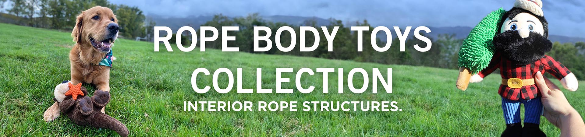Rope Body Dog Toys Collection
