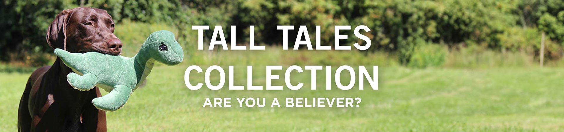 Tall Tales Dog Toys Collection