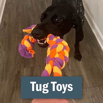 Tug Dog Toys