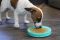 Lickable Suction Cup Reward Pet Dish