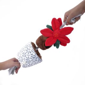 Poinsettia Tug-and-Treat Dog Toy