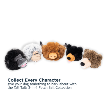 Tall Tails 2-in-1 Fetch Ball Dog Toy