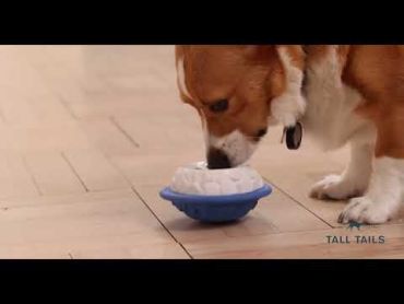 Tall Tails Natural Rubber Polar Freezable Reward Dog Toy Tall Tails Natural Rubber Polar Freezable Reward Dog Toy