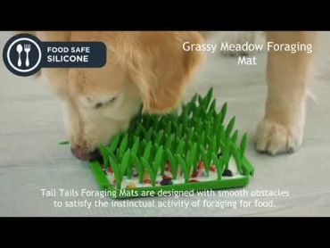 Tall Tails Foraging Mat for Dogs