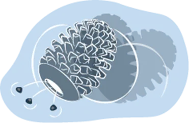 Treat Dispensing Toy